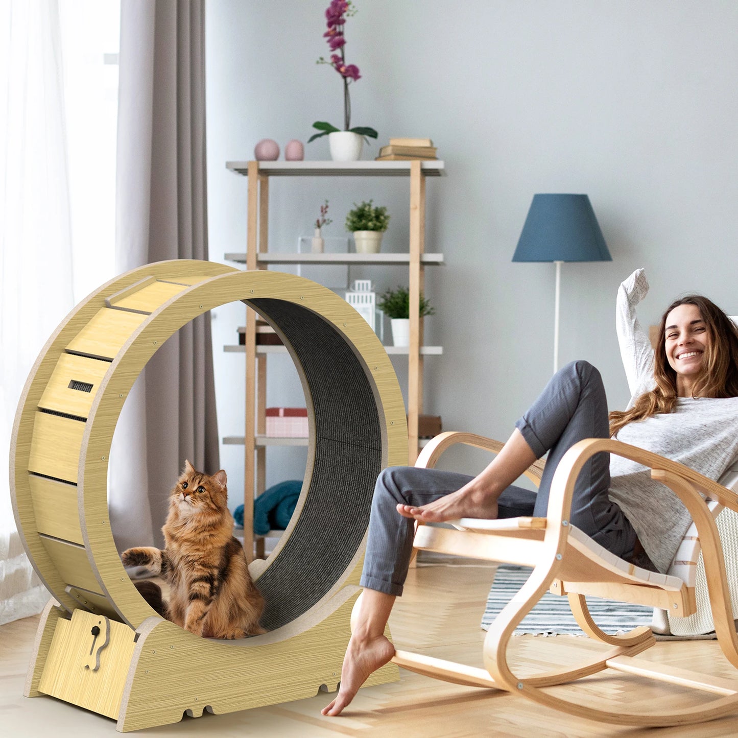 Cat Wheel.