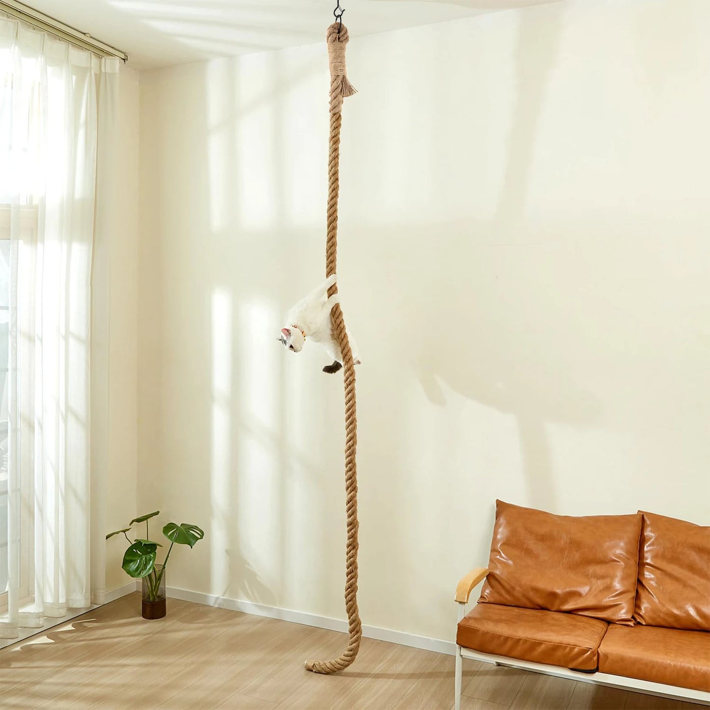 Cat Sisal Climbing Rope.