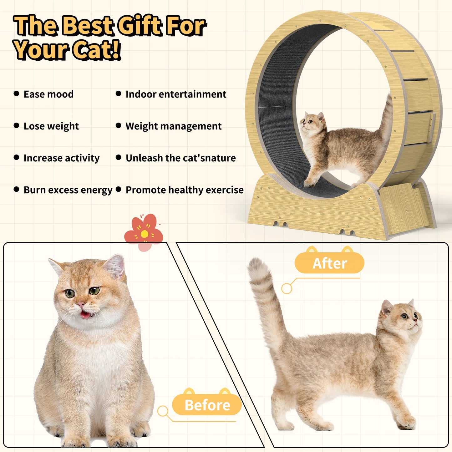 Cat Wheel.