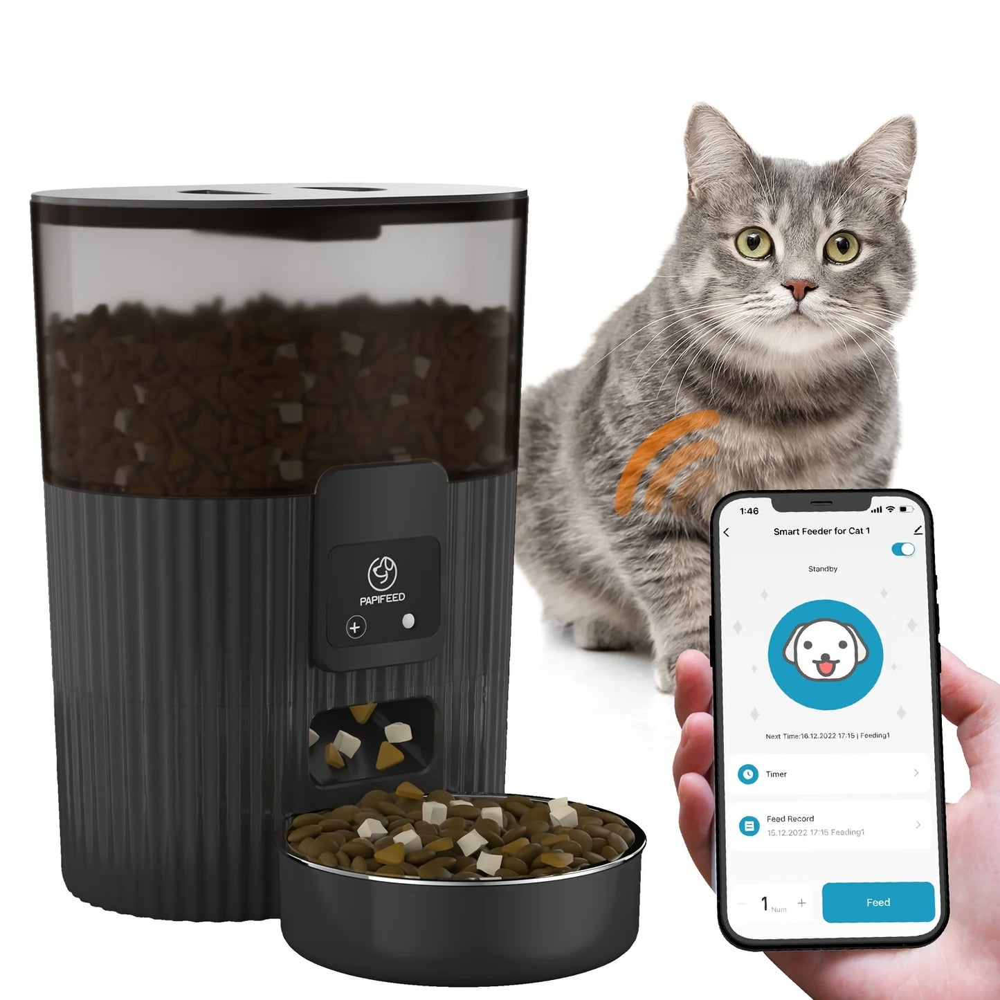 Cat Automatic Feeder.