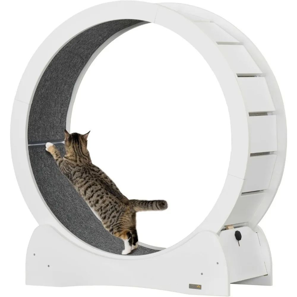 Cat Wheel.