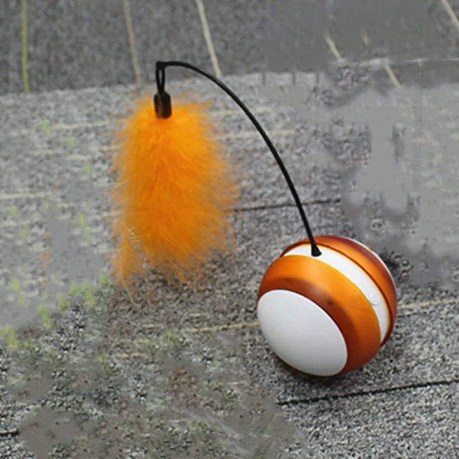 Rolling Pet Toys.