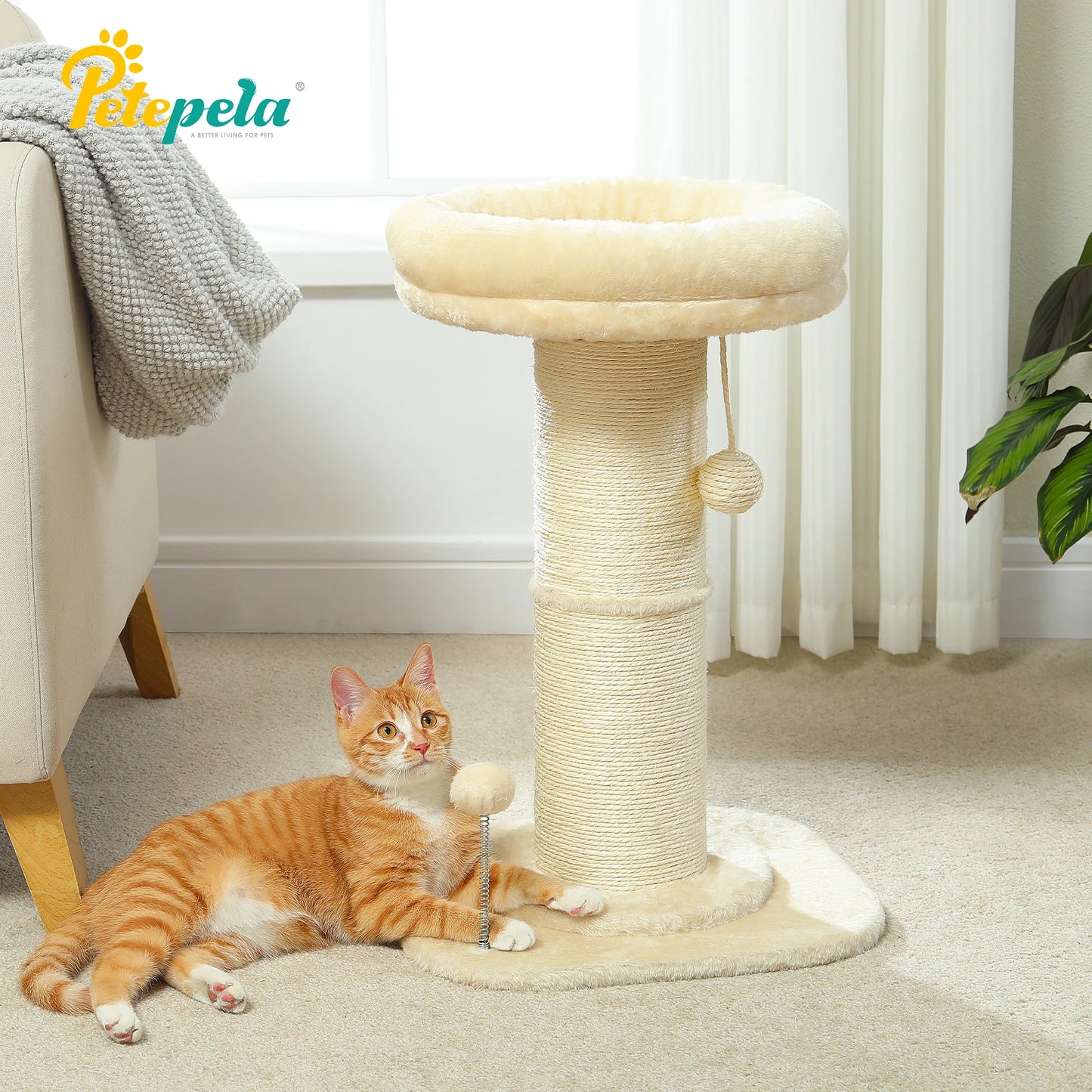 Flower Small Cat Tree.
