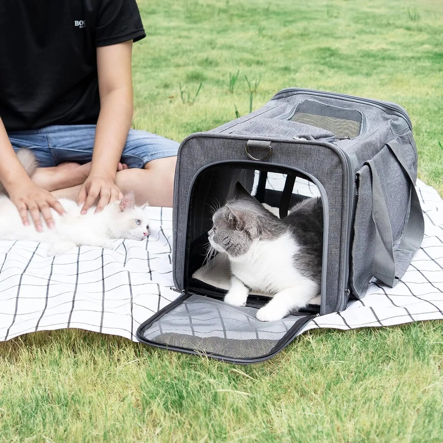 Pet Carrier for Large Cats.