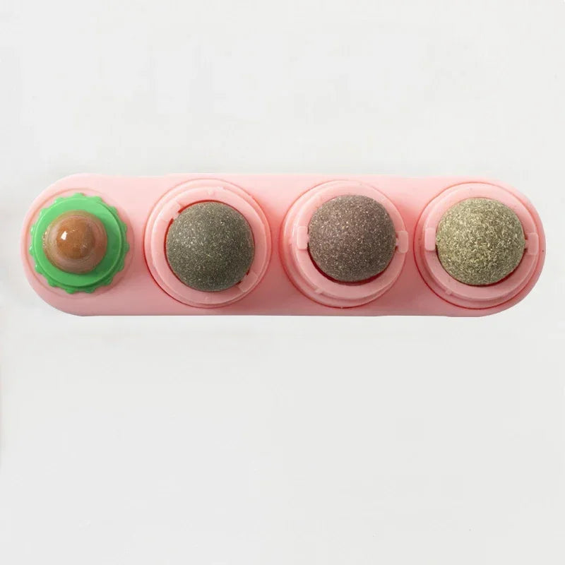 Catnip Toys.