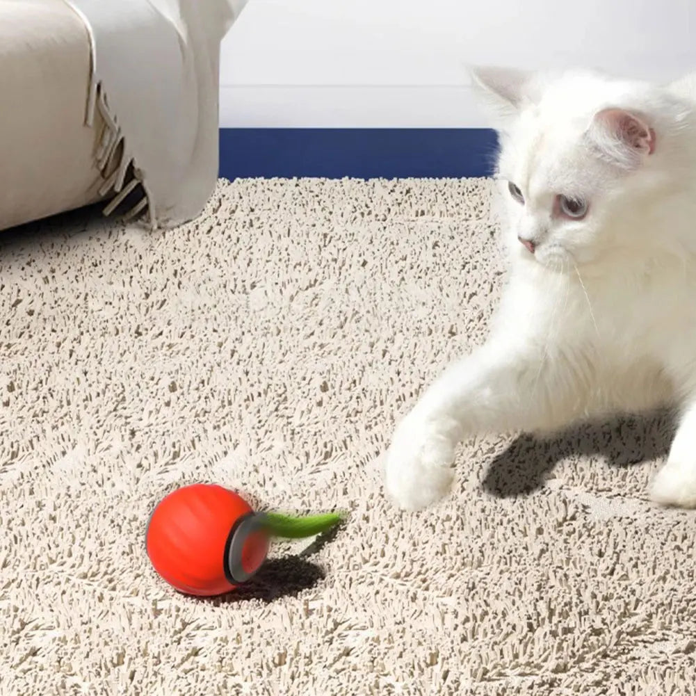 Automatic Moving Cat Toy.