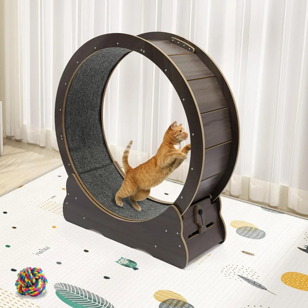 Cat Exercise Wheel.