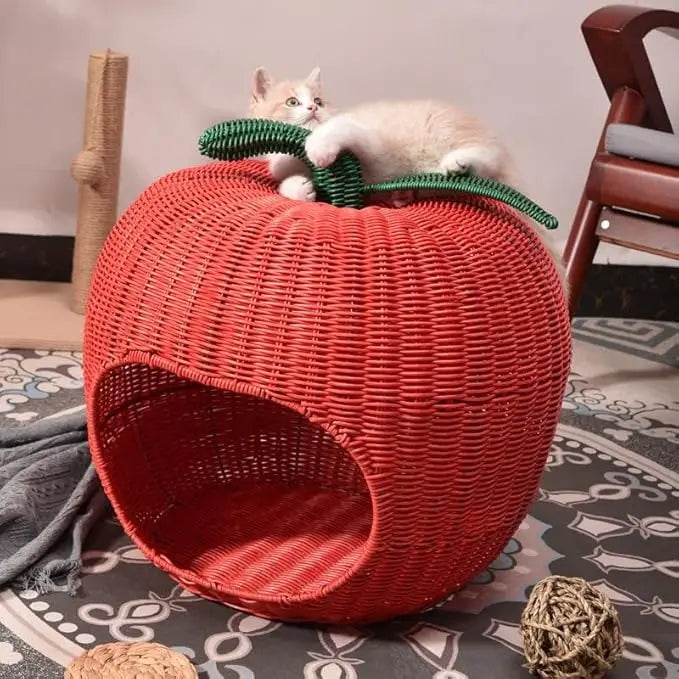 Cats Hammock.