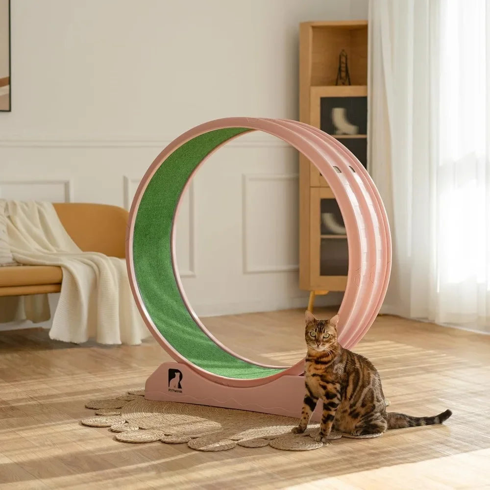 Cat Exercise Wheel.