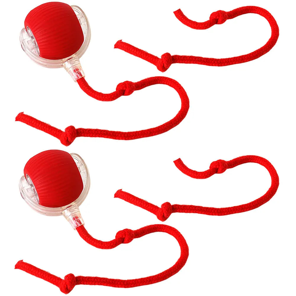 Cat Interactive Ball Toys.