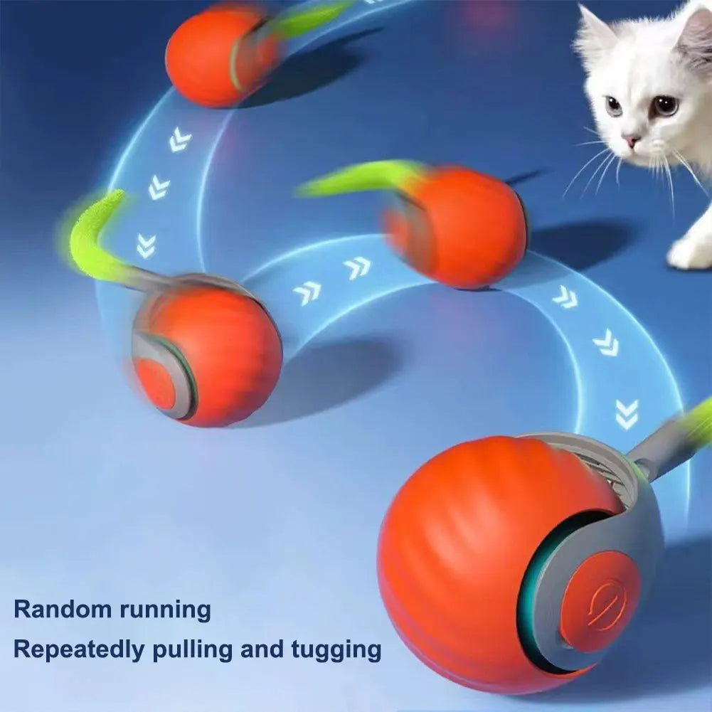 Automatic Moving Cat Toy.