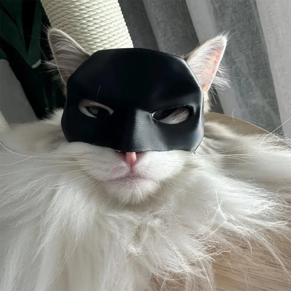 Cat Batman Mask.