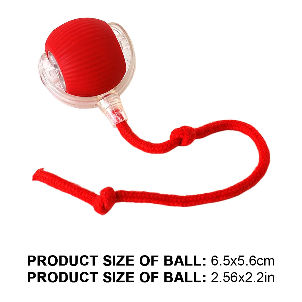 Cat Interactive Ball Toy.