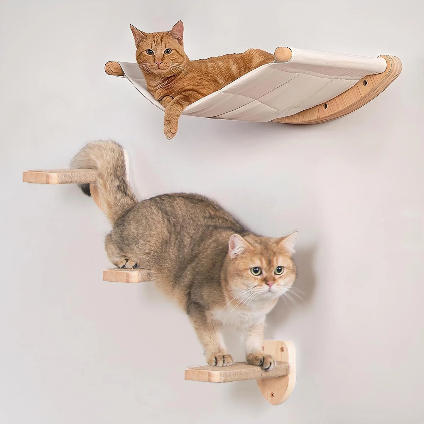 Wall Mounted Cat Hammock.