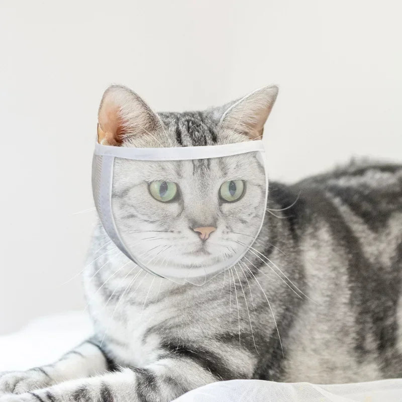 Cat Muzzle.