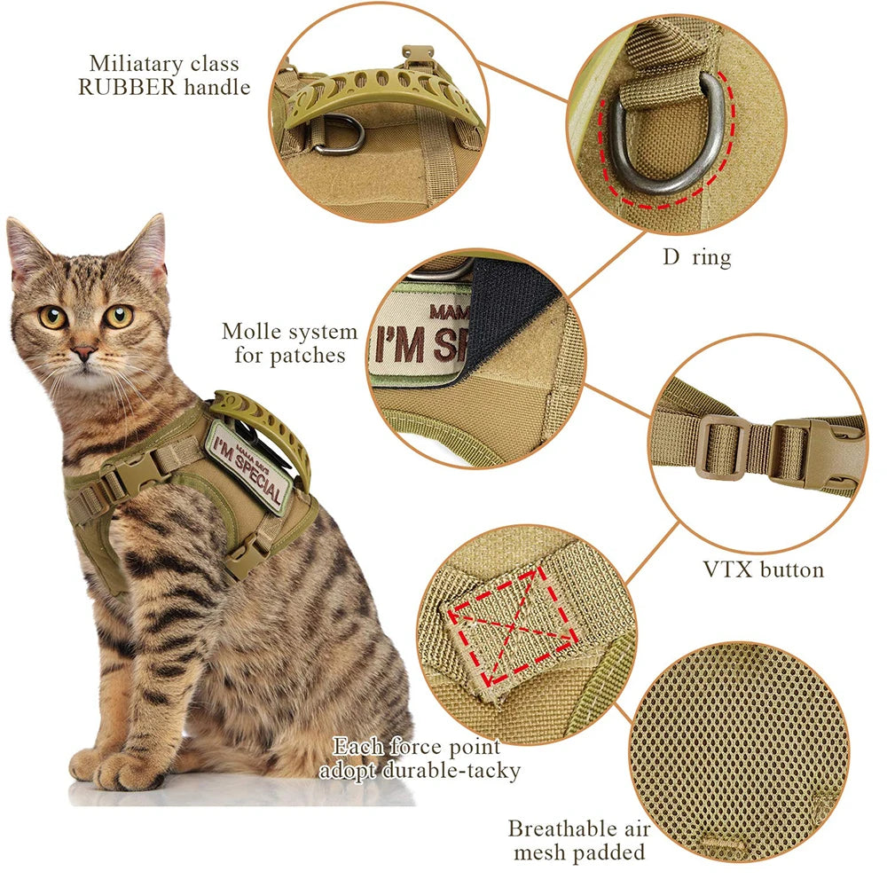 Tactical Cat Harness Leash.