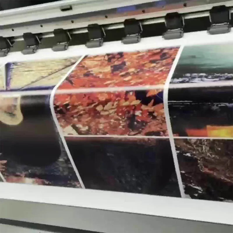 Funny Cat Canvas Wall Art.