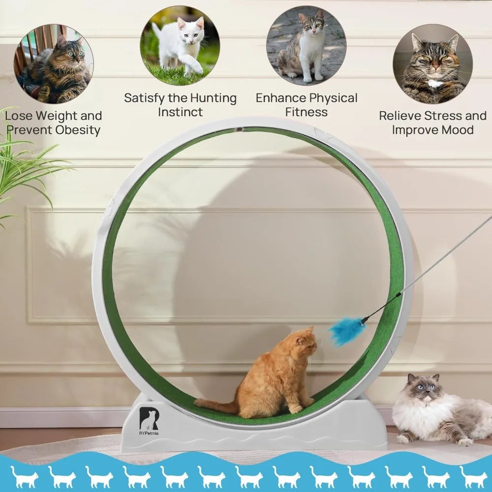Cat Exercise Wheel.