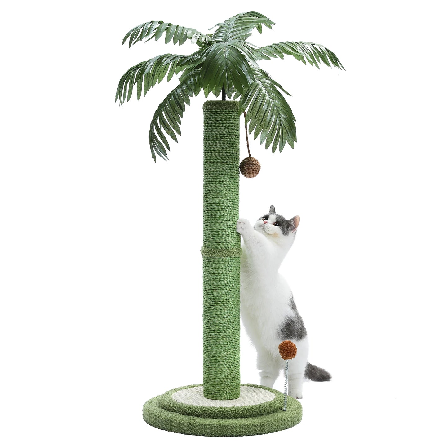 Pom Cat Scratching Post.