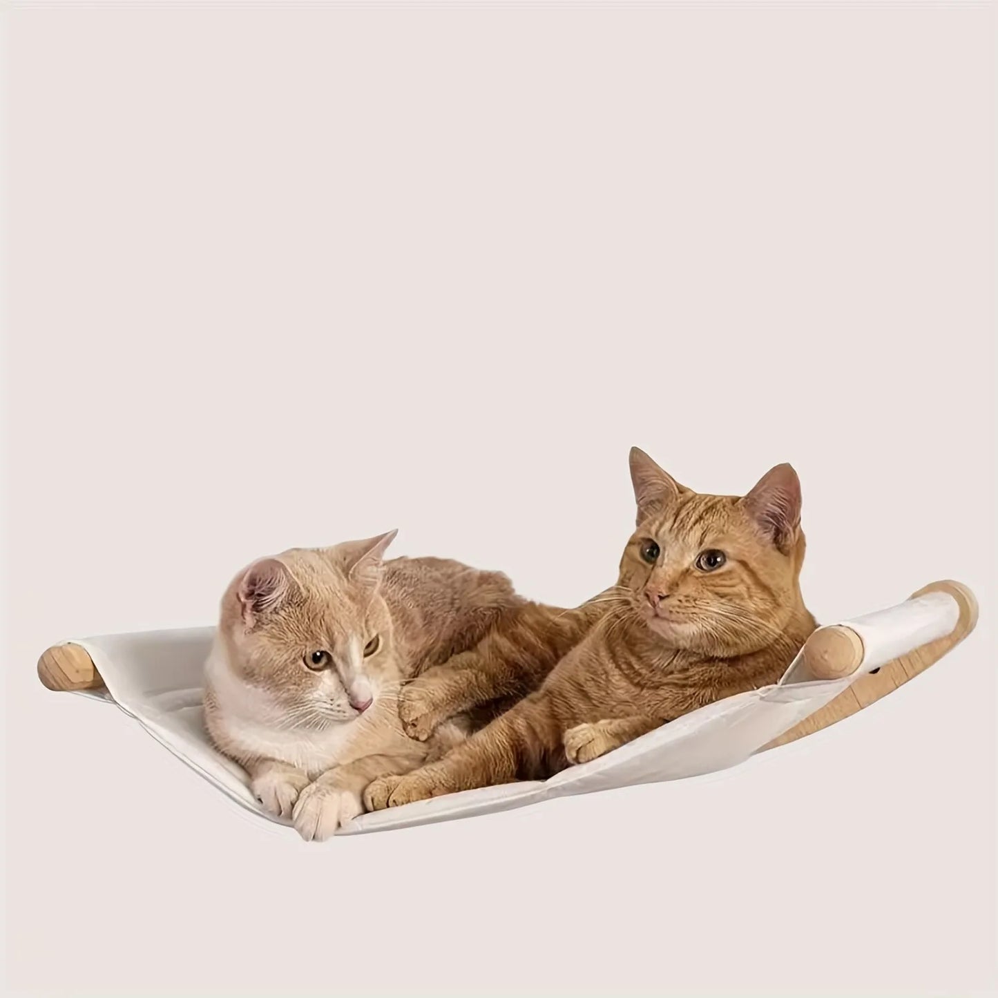 Cat Hammock Wall Mounted Cat Shelf.