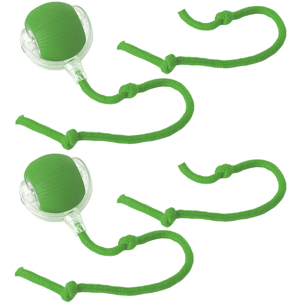 Cat Interactive Ball Toys.