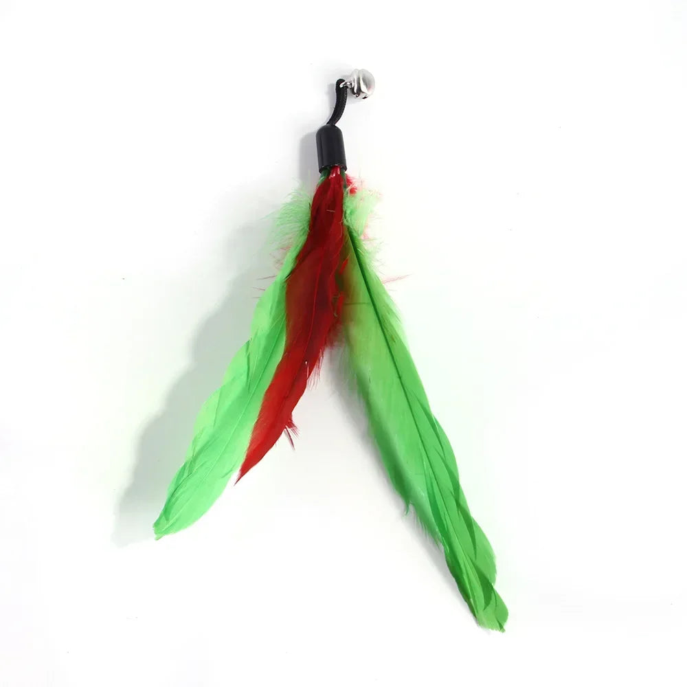 Cat Toy.
