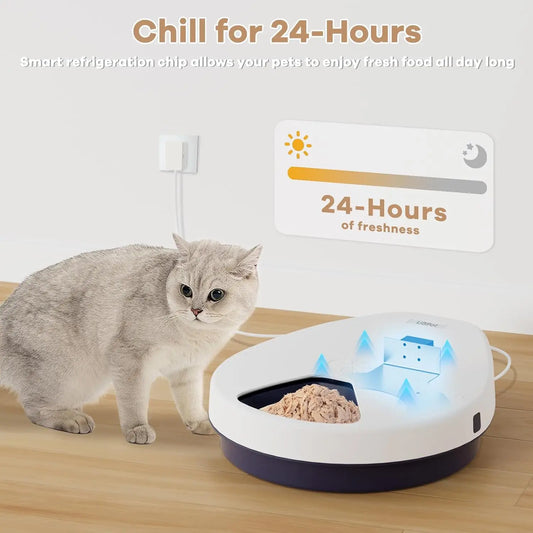 Automatic Cat Feeder.