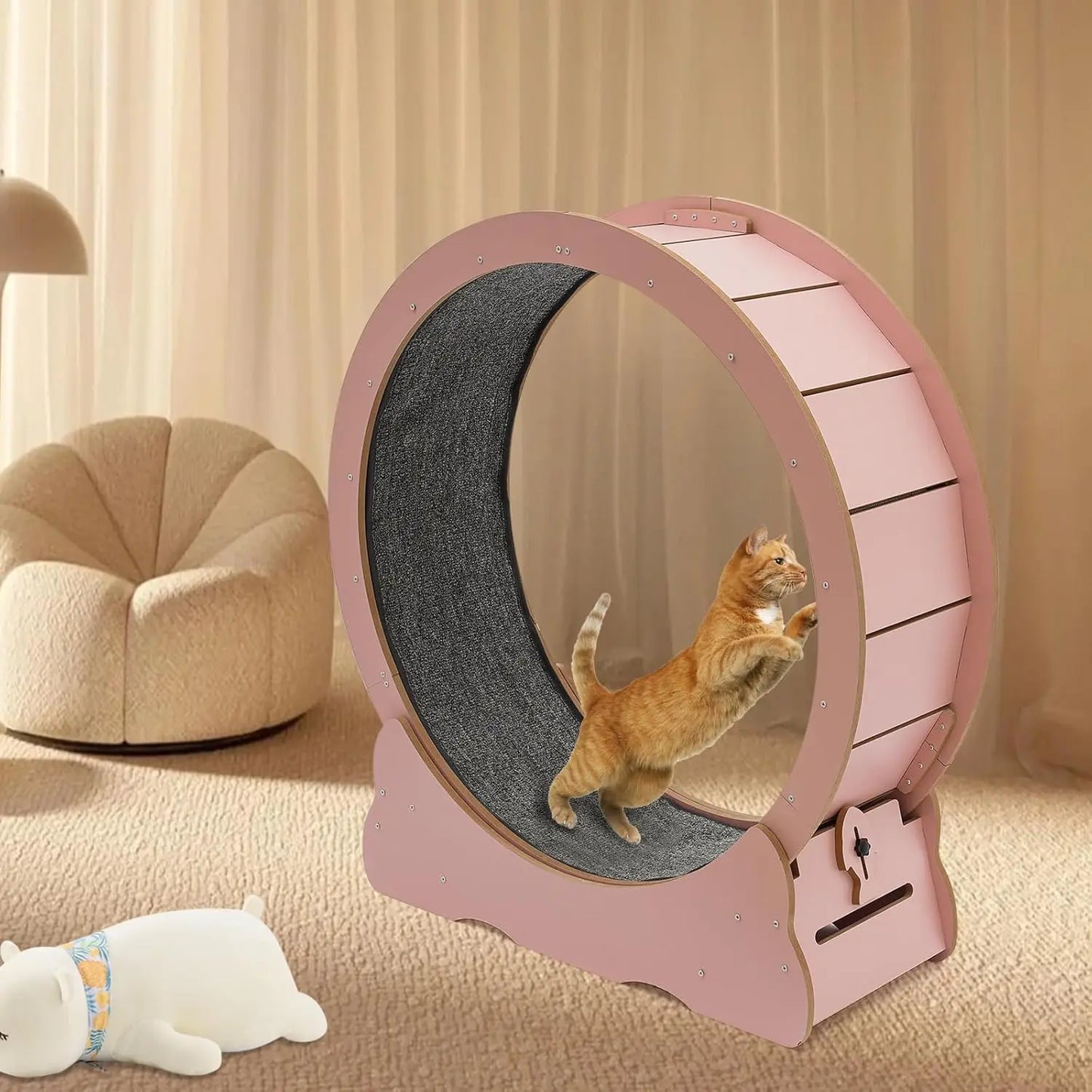 Cat Exercise Wheel.