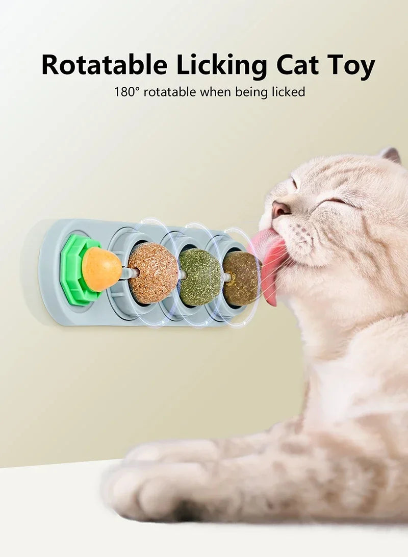 Catnip Toys.