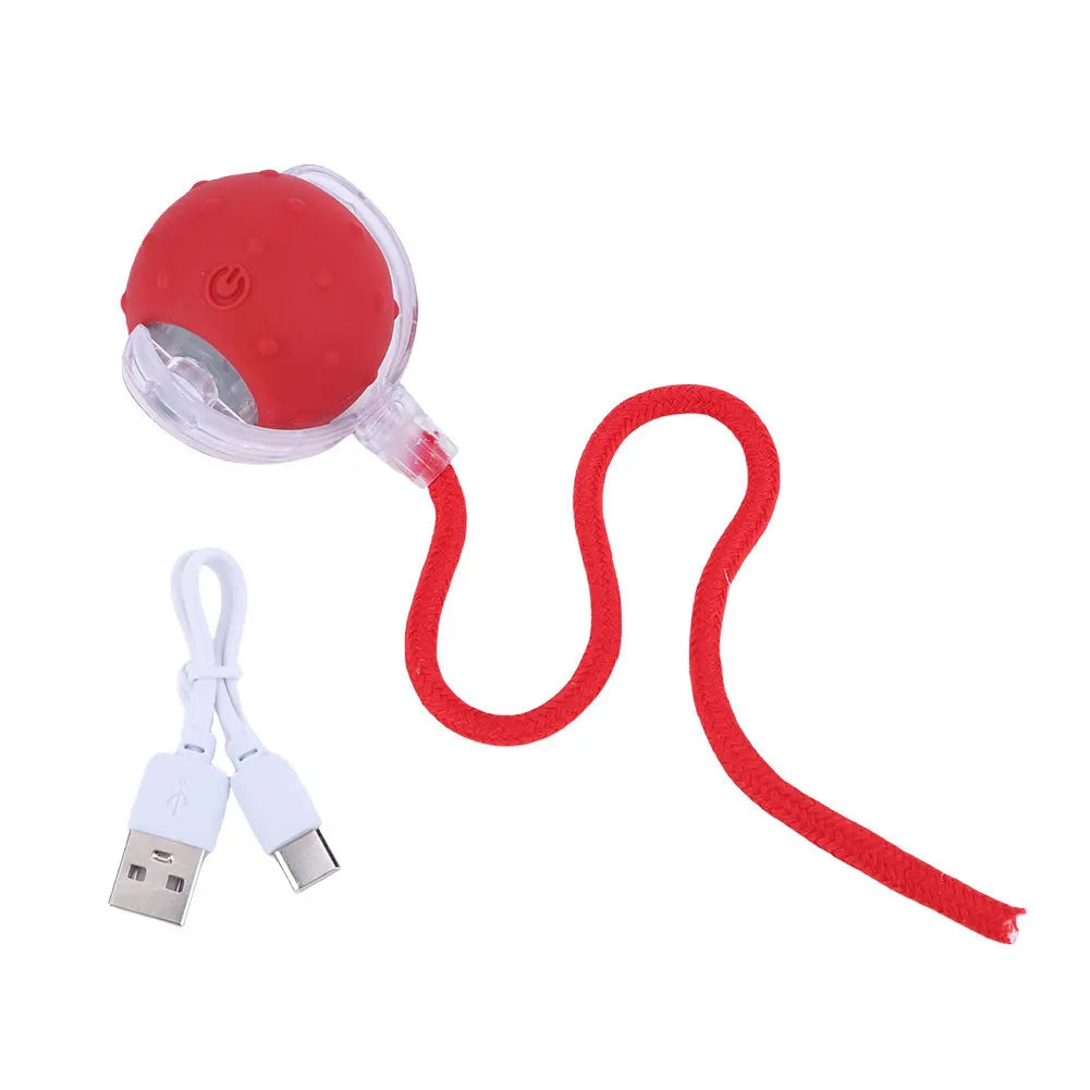 Cat Interactive Ball Toys.