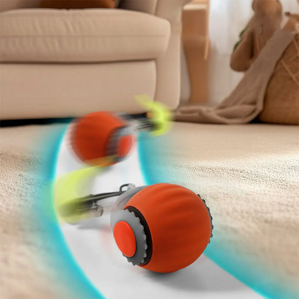 Cat Interactive Ball Toys.
