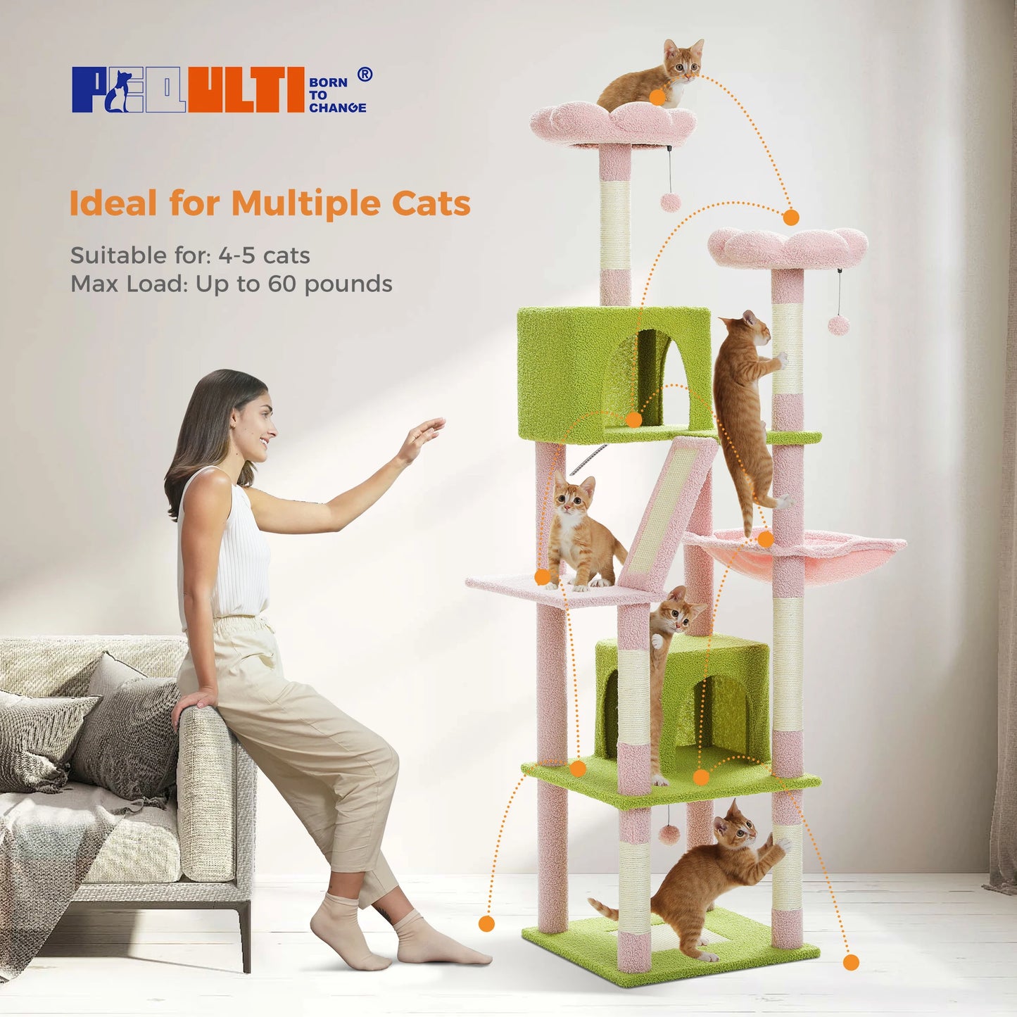 Cat Tree with Plush Condo.