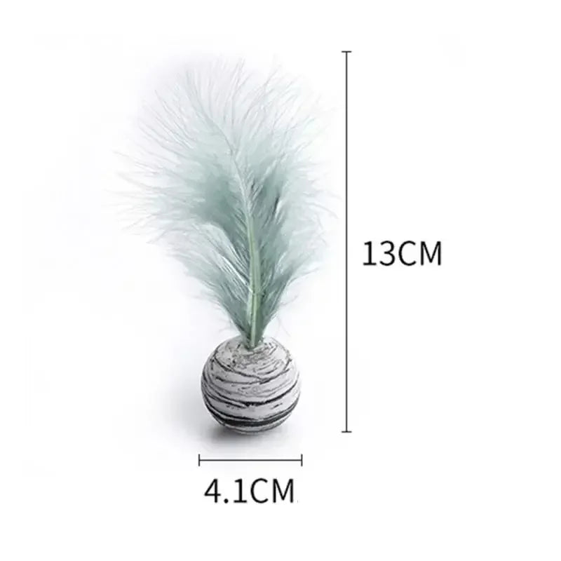 Cat Toy Ball Feather.