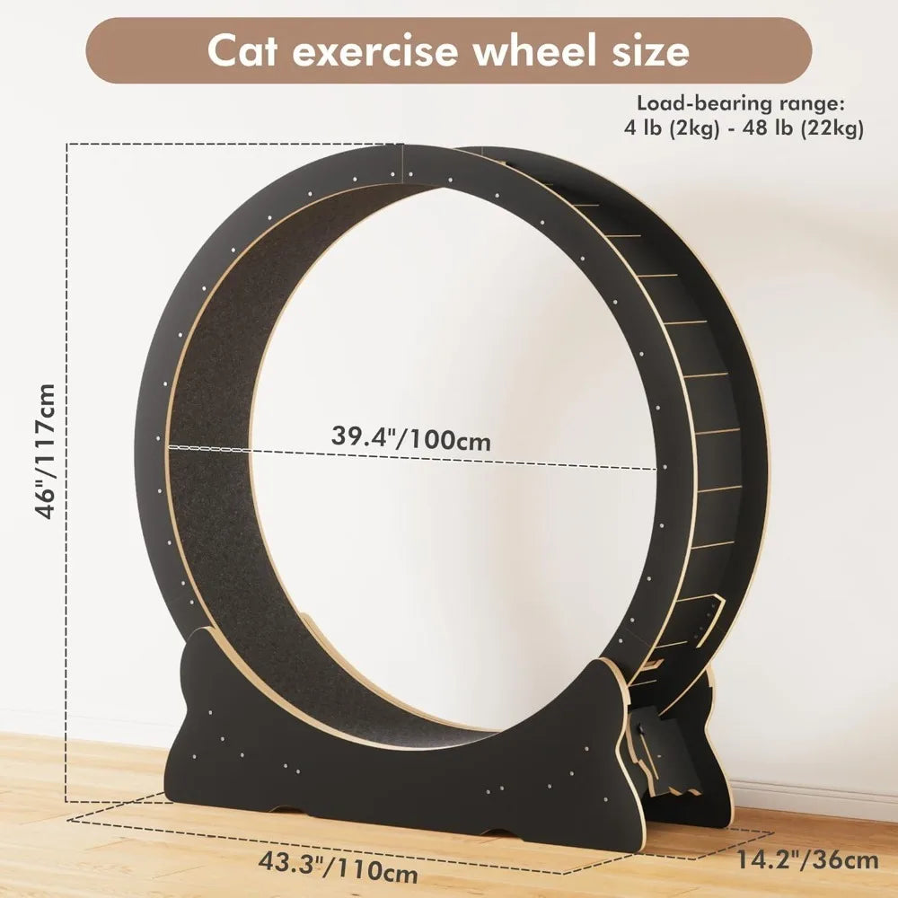 Cat Exercise Wheel.