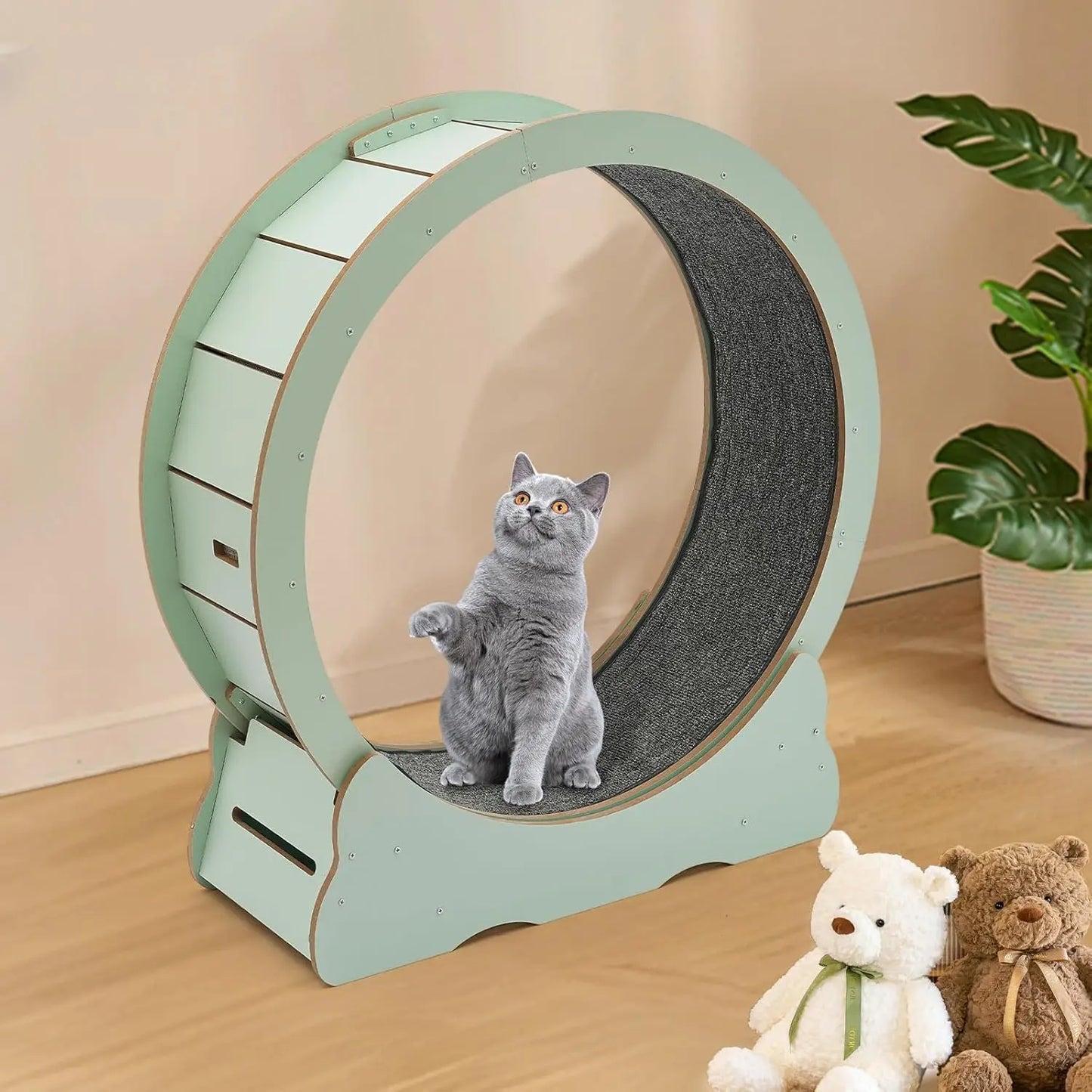 Cat Exercise Wheel.