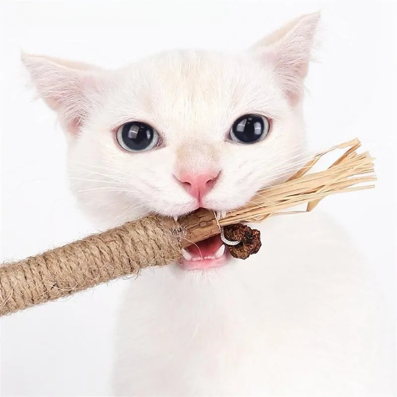 Cat Toy Stick Bite.