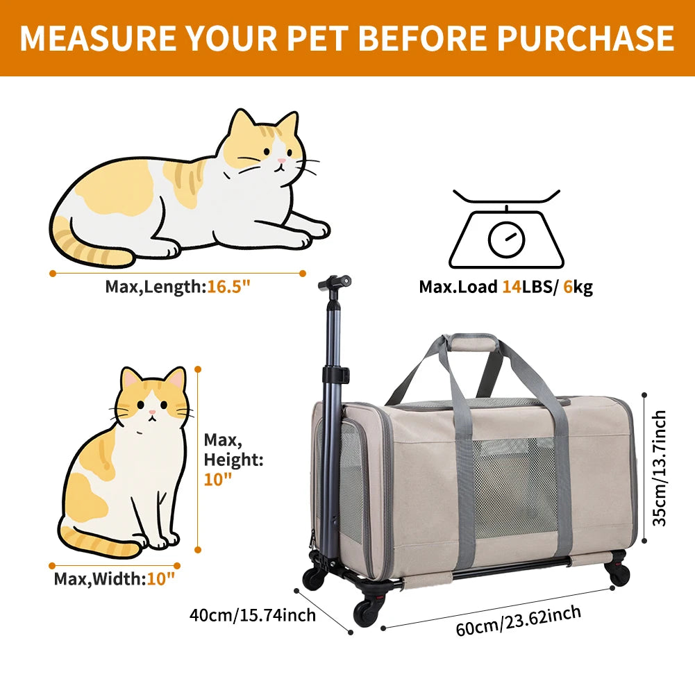 Cat Trolley.