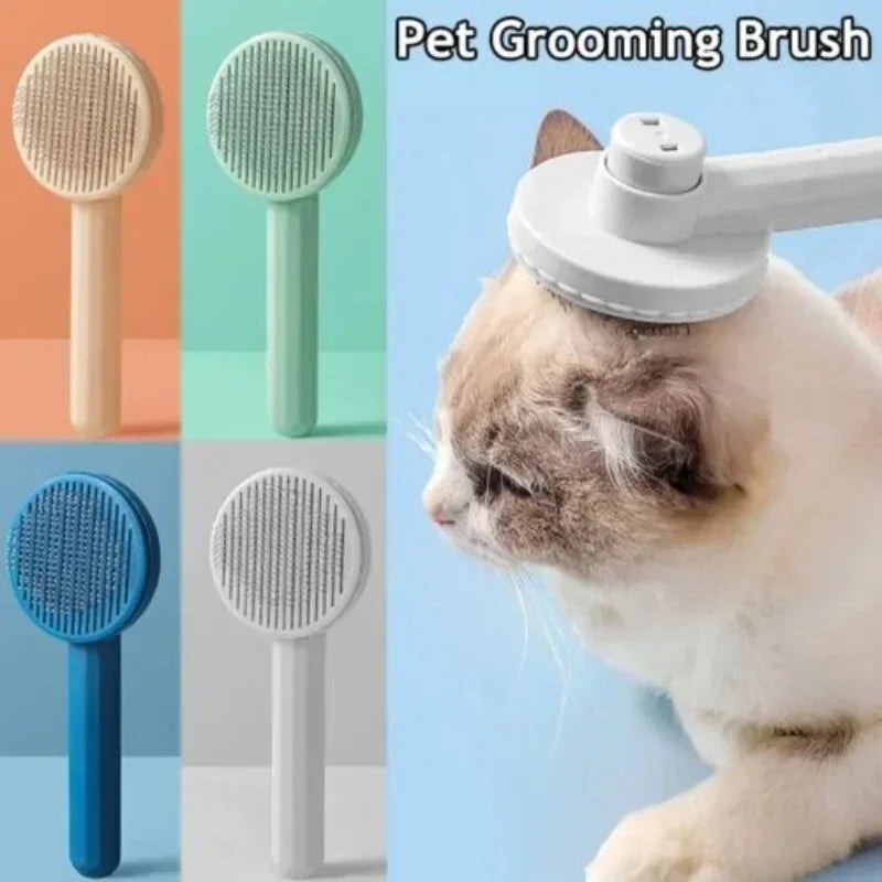 Cat Brush.
