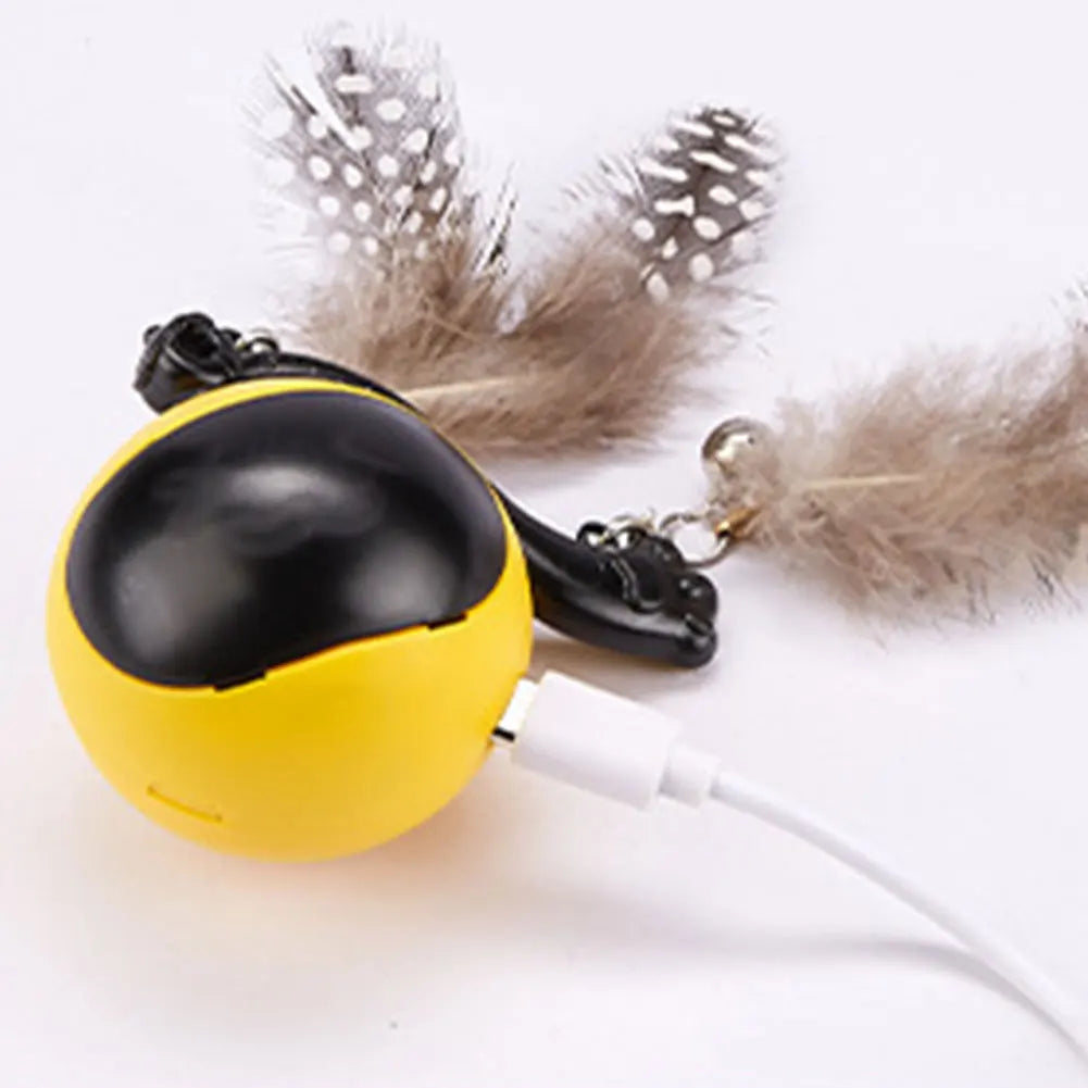 Cat Interactive Ball.