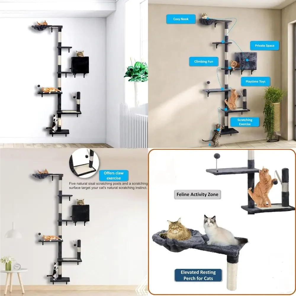 Cat Shelves for Wall.