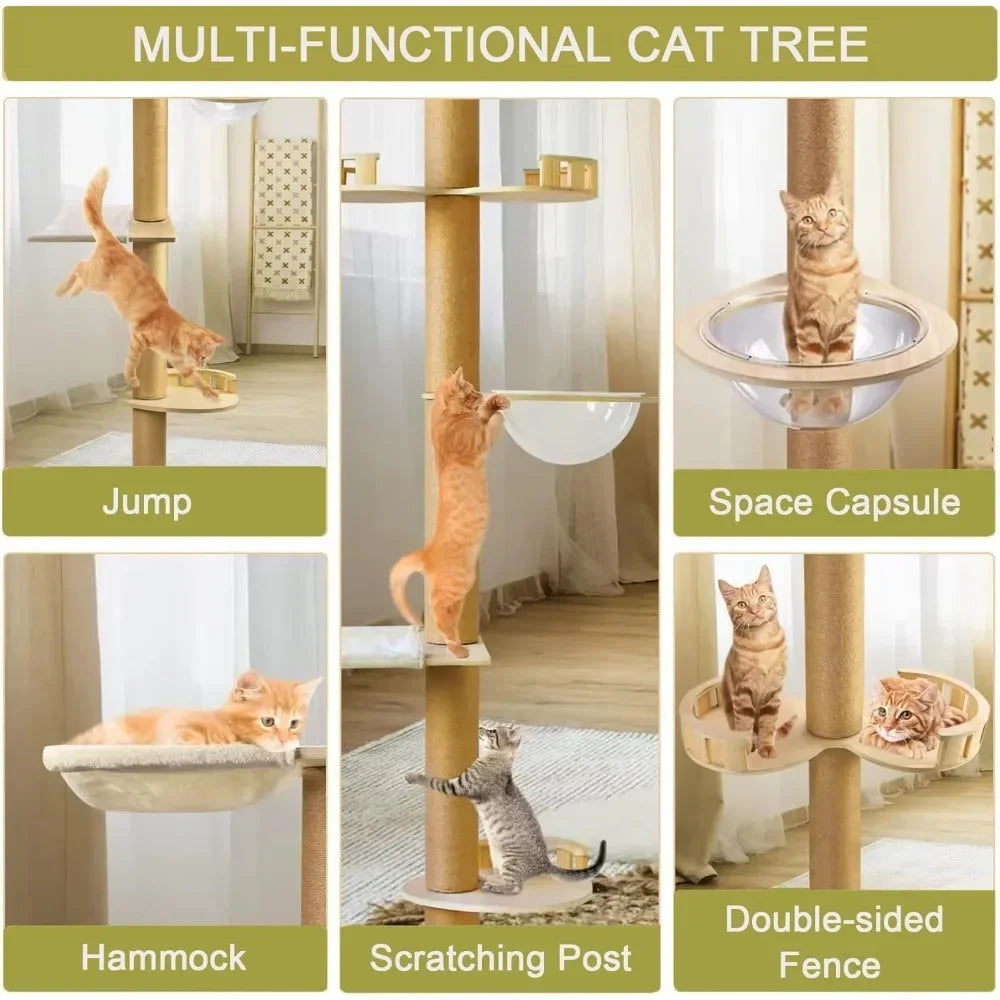 Floor to Ceiling Cat Tree.