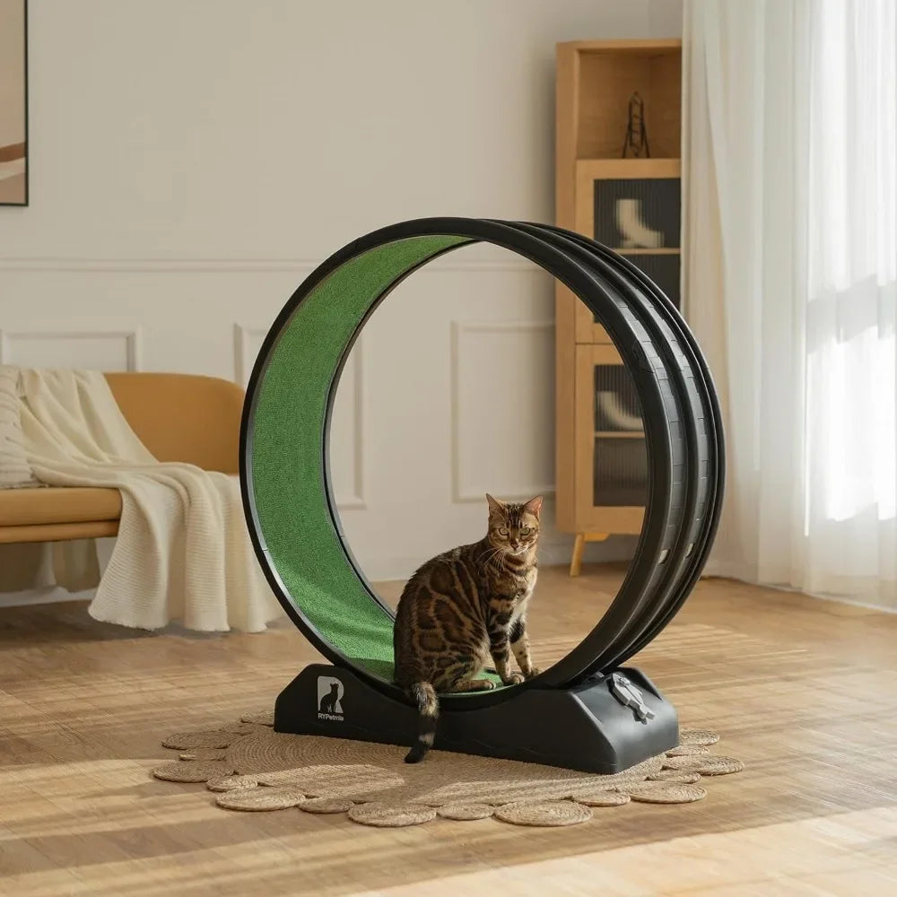 Cat Exercise Wheel.