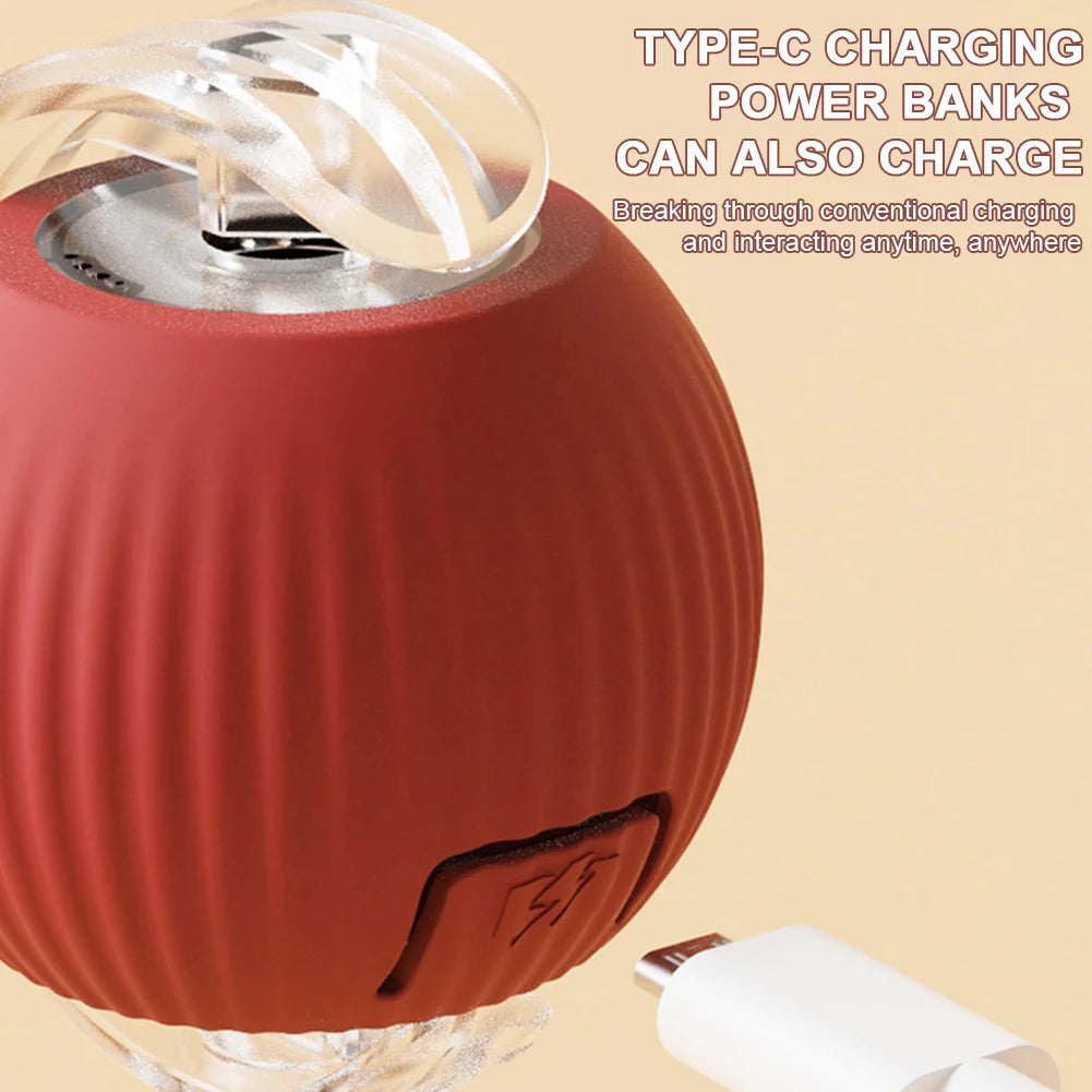 Interactive Cat Ball Toys.