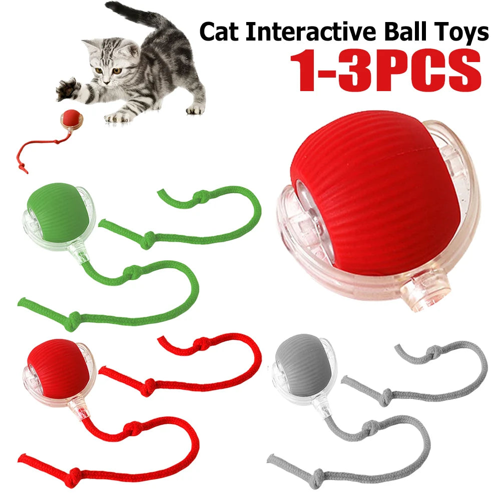 Interactive Cat Ball Toys.