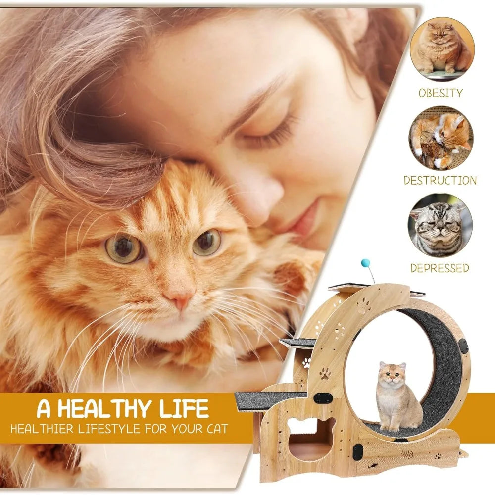 Upgraded Cat Wheel.