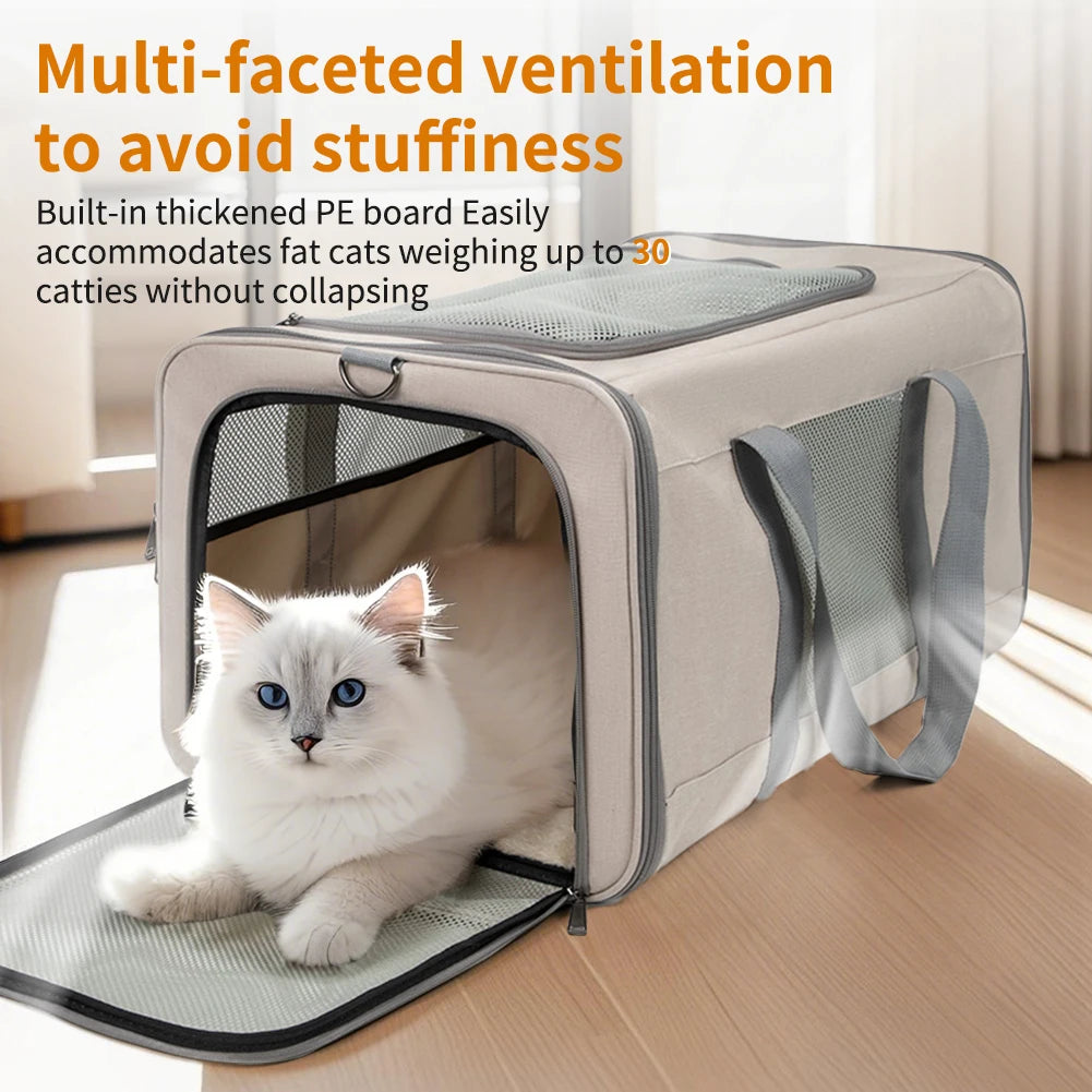 Cat Trolley.