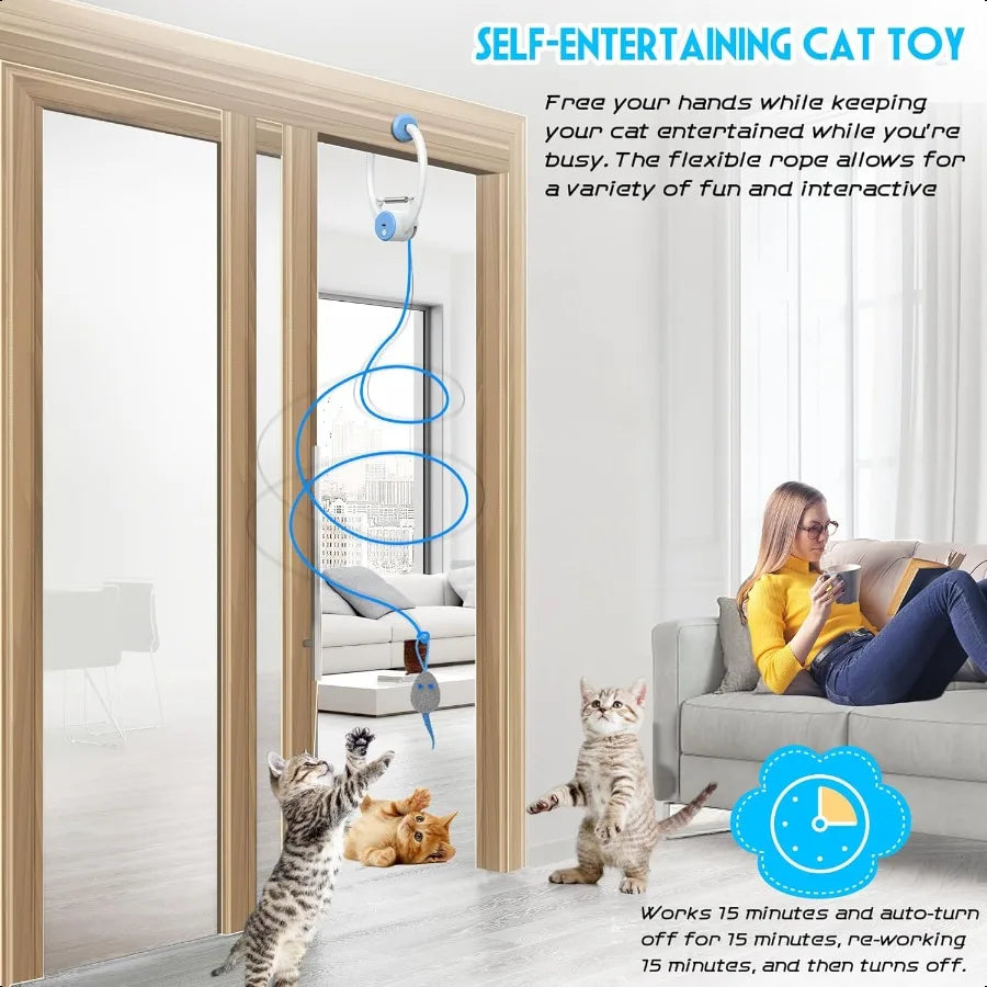 Interactive Automatic Door Cat Toy.