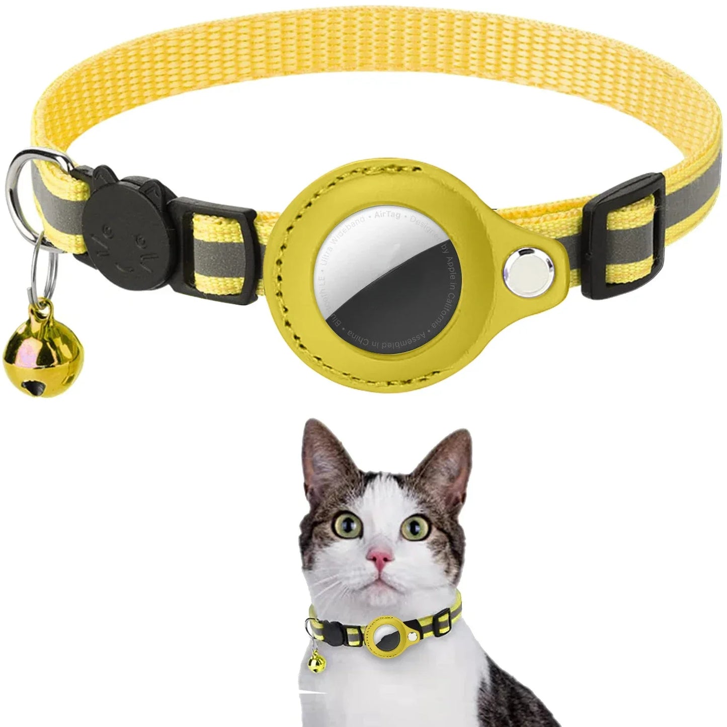 Cat Positioning Collar.