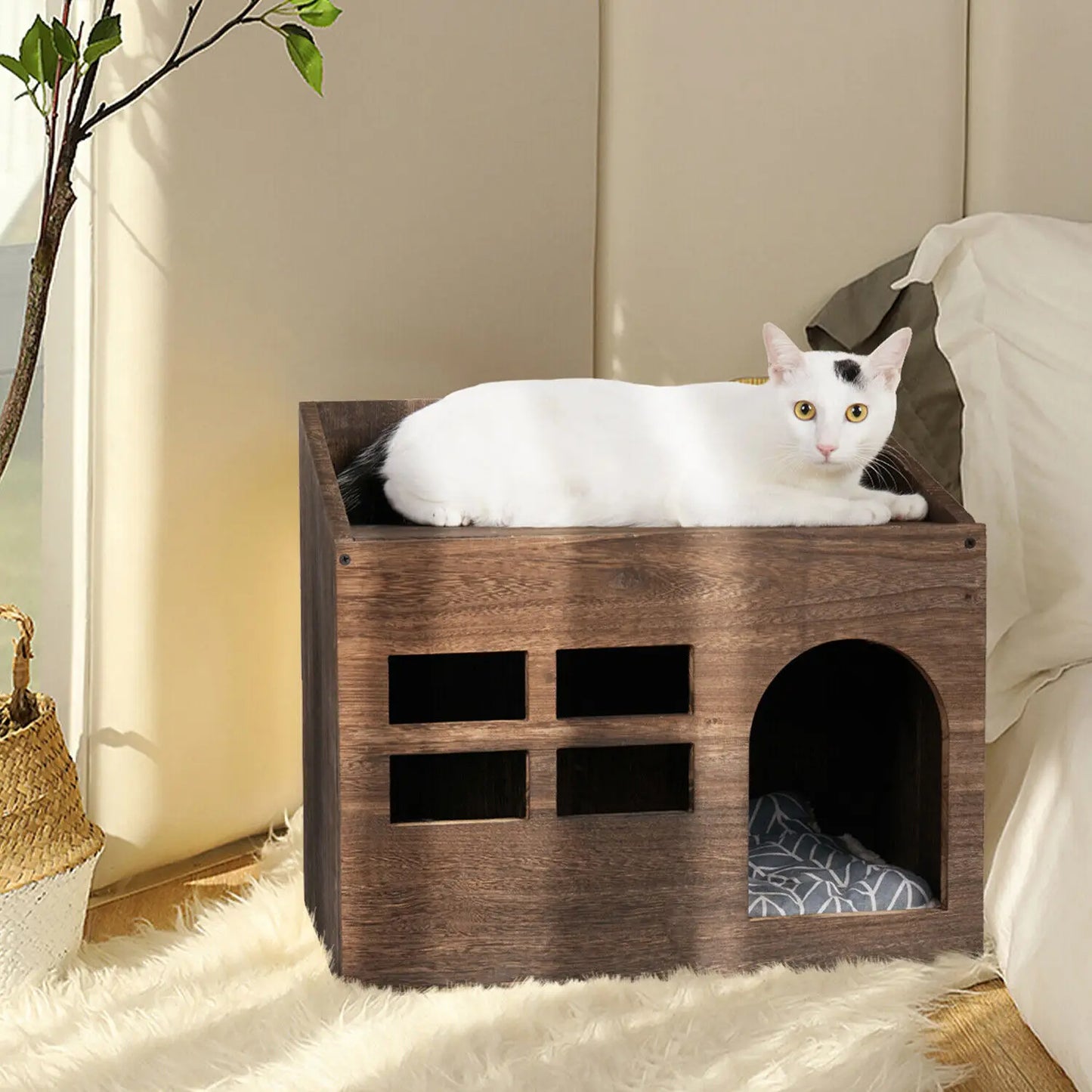Cat Litter Box for Indoors.