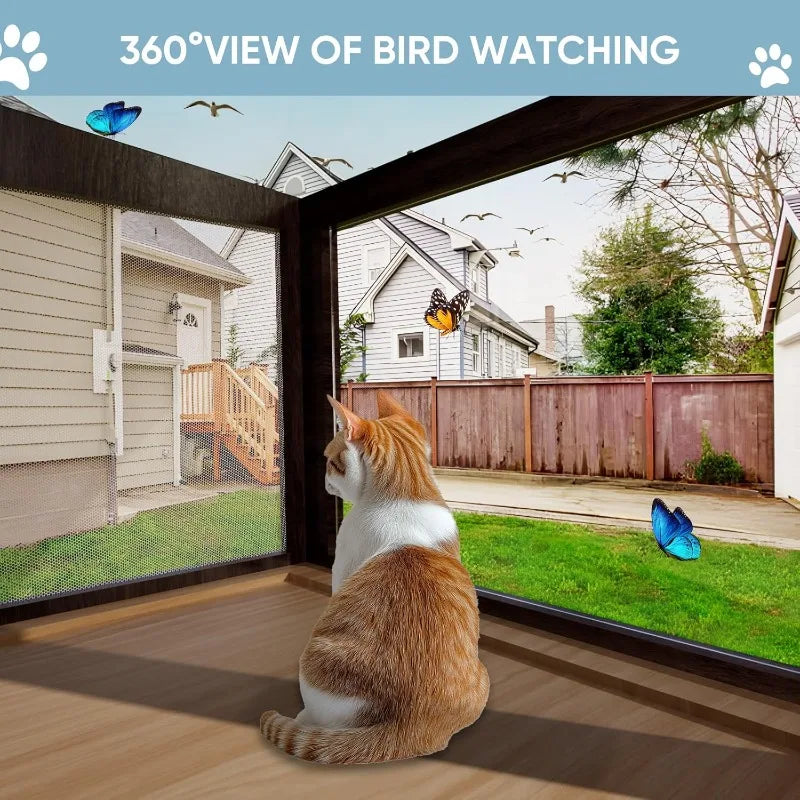 Cat Window Box.
